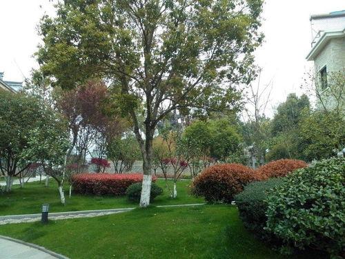 浙江违建爆料最新消息,多起违建项目被查处,整治行动持续进行 第2张 浙江违建爆料最新消息,多起违建项目被查处,整治行动持续进行 第2张