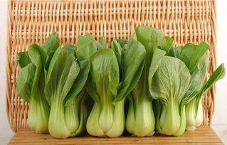 青菜爆料视频大全集最新,揭秘娱乐圈幕后真相 第1张 青菜爆料视频大全集最新,揭秘娱乐圈幕后真相 第1张